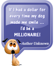 If I had a dollar for every time my dog made me smile, I'd be a millionaire! Author Unknown