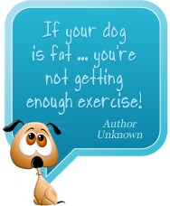If your dog is fat, you aren't getting enough exercise.