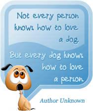 Not every person knows how to love a dog, but every dog knows how to love a person