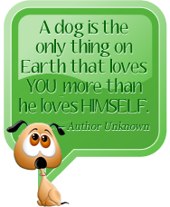 A dog is the only thing on Earth that loves YOU more than he loves himself.