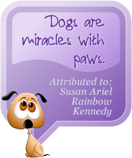 from our Dogisms collection: Dogs are miracles with paws.