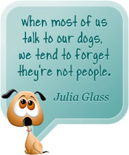 When most of us talk to our dogs, we tend to forget they're not people. Julia Glass
