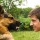 Understanding Dog Bite Behavior or Don’t Blame the Dog When it Bites