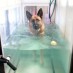 Hydrotherapy and the Bone Crusher