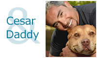 photo of Cesar Millan and his Pit Bull Daddy