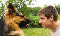 photo of man with dog with growling with teeth bared