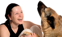 german shepherd interacting with owner image