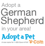 Adopt-a-Pet - search for your new pet! Adopt a Pet German Shepherds for Adoption