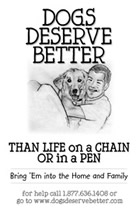 dogs deserve better