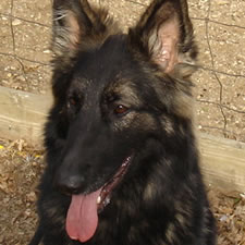 photo of Nissa