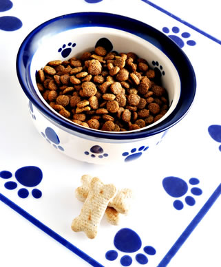 dry dog food in a white ceramic bowl with blue dog paw prints