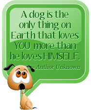 A dog is the only thing on Earth that loves YOU more than he loves HIMSELF. Author - Unknown