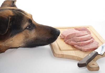 raw meat diets for dogs