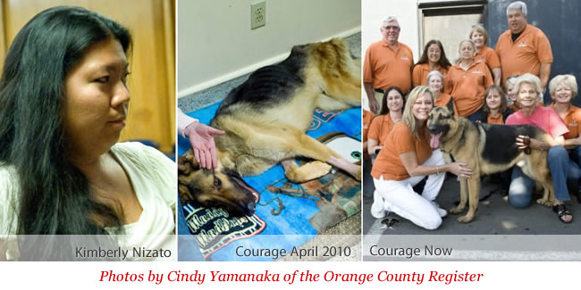 Kimberly Nizato - Courage's previous owner, Courage then and Courage now - photos by Cindy Yamanaka of the Orange County Register